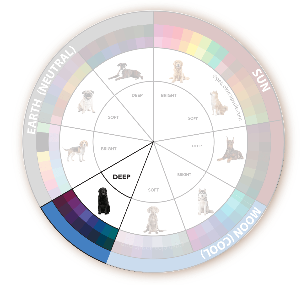 Deep Dark Dog Color Analysis matching